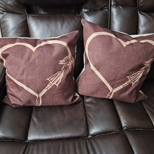 FSU pillow cases with pillow forms